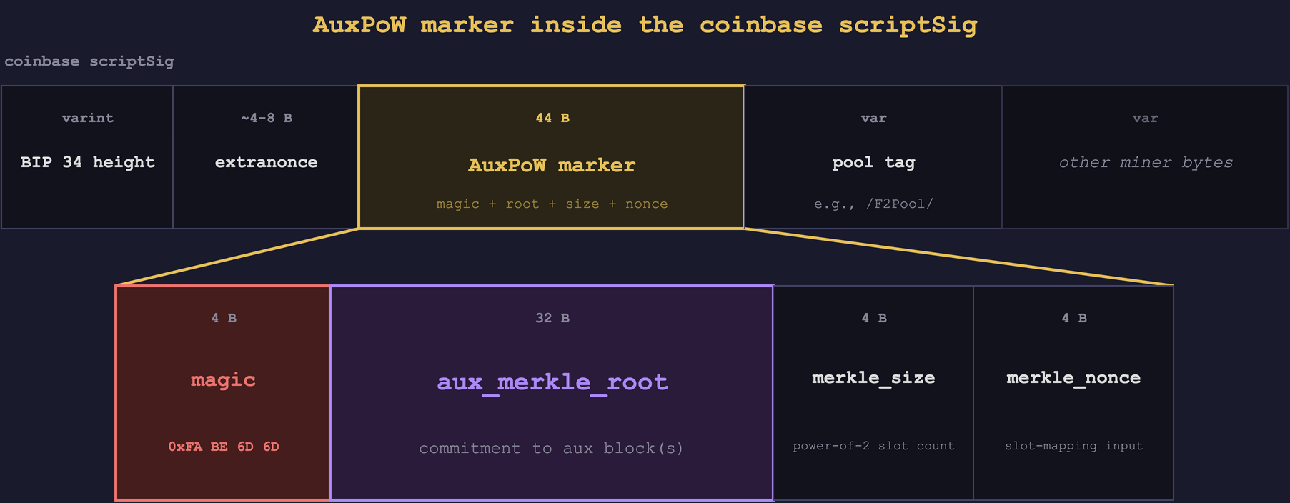 Layout of the 44-byte AuxPoW marker in the parent coinbase's `scriptSig`. Four fields: a 4-byte magic constant `0xFA BE 6D 6D`, a 32-byte aux merkle root committing to one or more auxiliary block hashes, a 4-byte `merkle_size` declaring how many slots the merkle tree contains, and a 4-byte `merkle_nonce` used in the slot-mapping calculation. The marker sits alongside other coinbase scriptSig data such as the BIP 34 block height, the extranonce, and any pool-identifying tags.