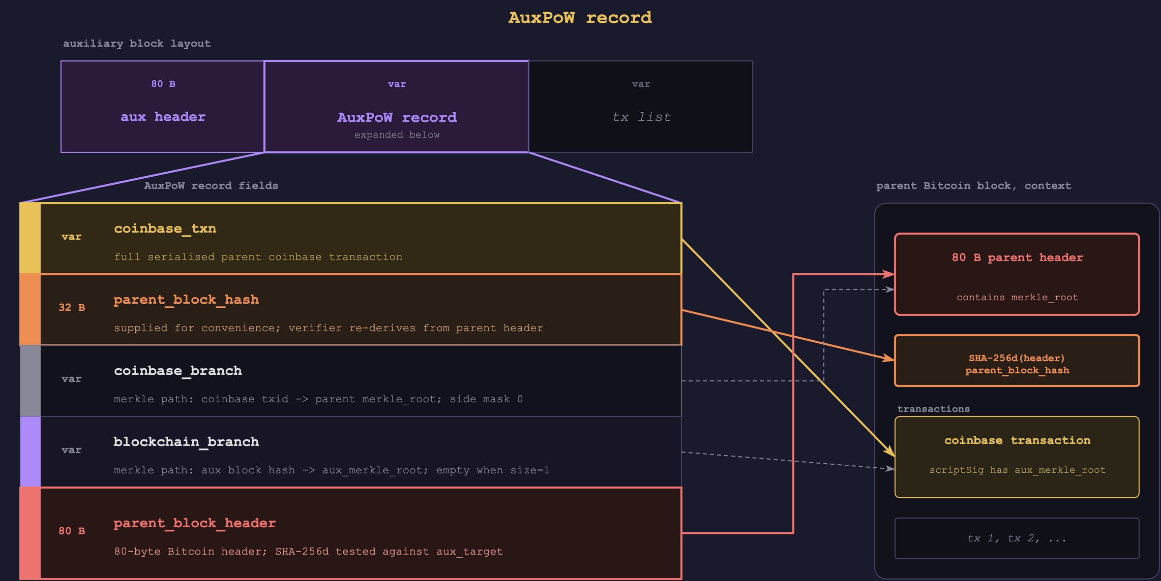 Layout of the AuxPoW record carried by every auxiliary block. `coinbase_txn` and `parent_block_header` are copied parent-side data; `parent_block_hash` is a redundant derived hash. The other two fields (`coinbase_branch`, `blockchain_branch`) are merkle paths that let the auxiliary chain's verifier reconstruct the link to the parent's proof-of-work.