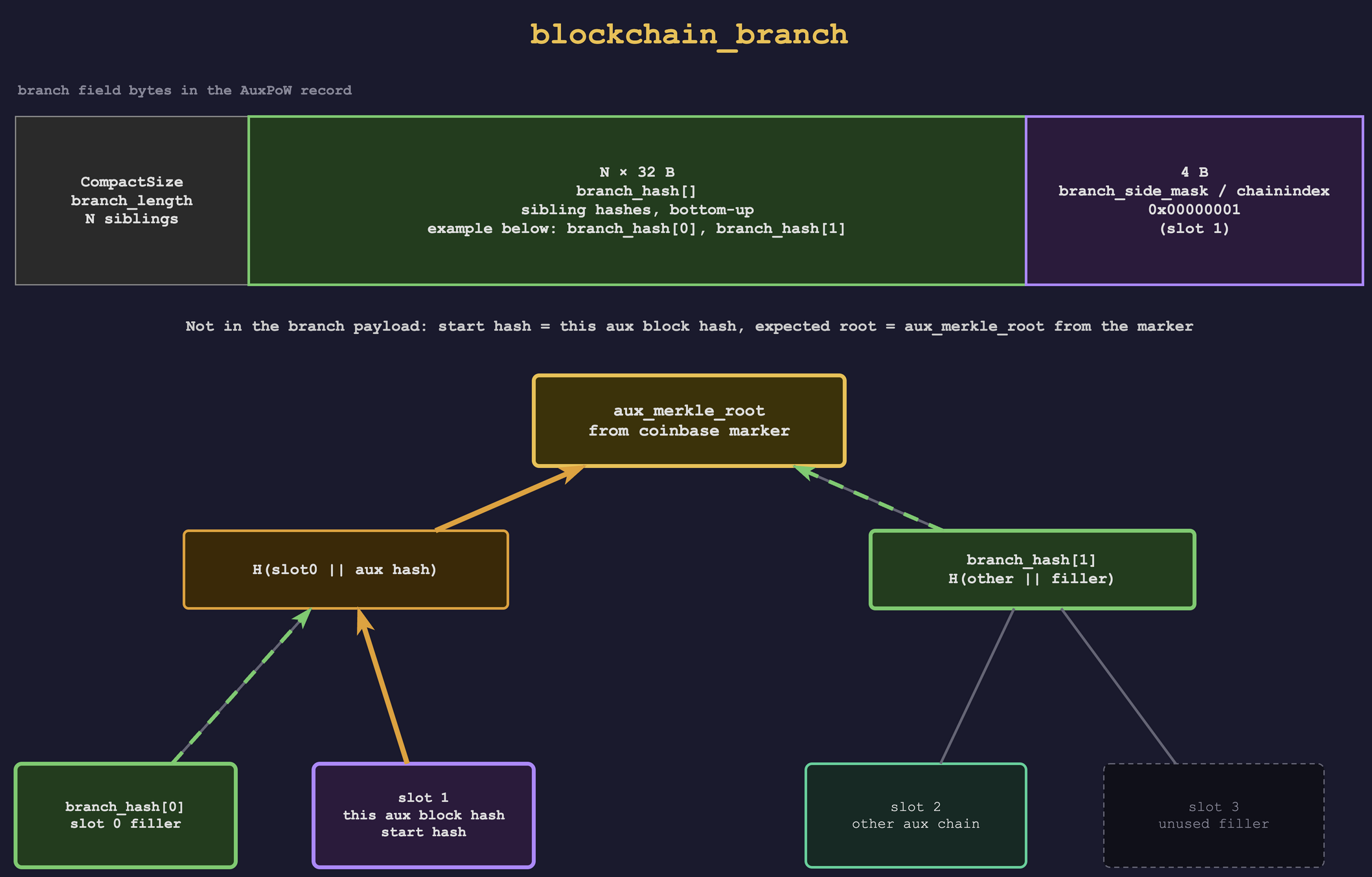 `blockchain_branch` shown as a merkle proof through the auxiliary merkle slot tree. The branch field carries the CompactSize length, the sibling hashes, and the 4-byte side mask (this chain's slot index); the auxiliary block hash and expected `aux_merkle_root` come from surrounding AuxPoW data.