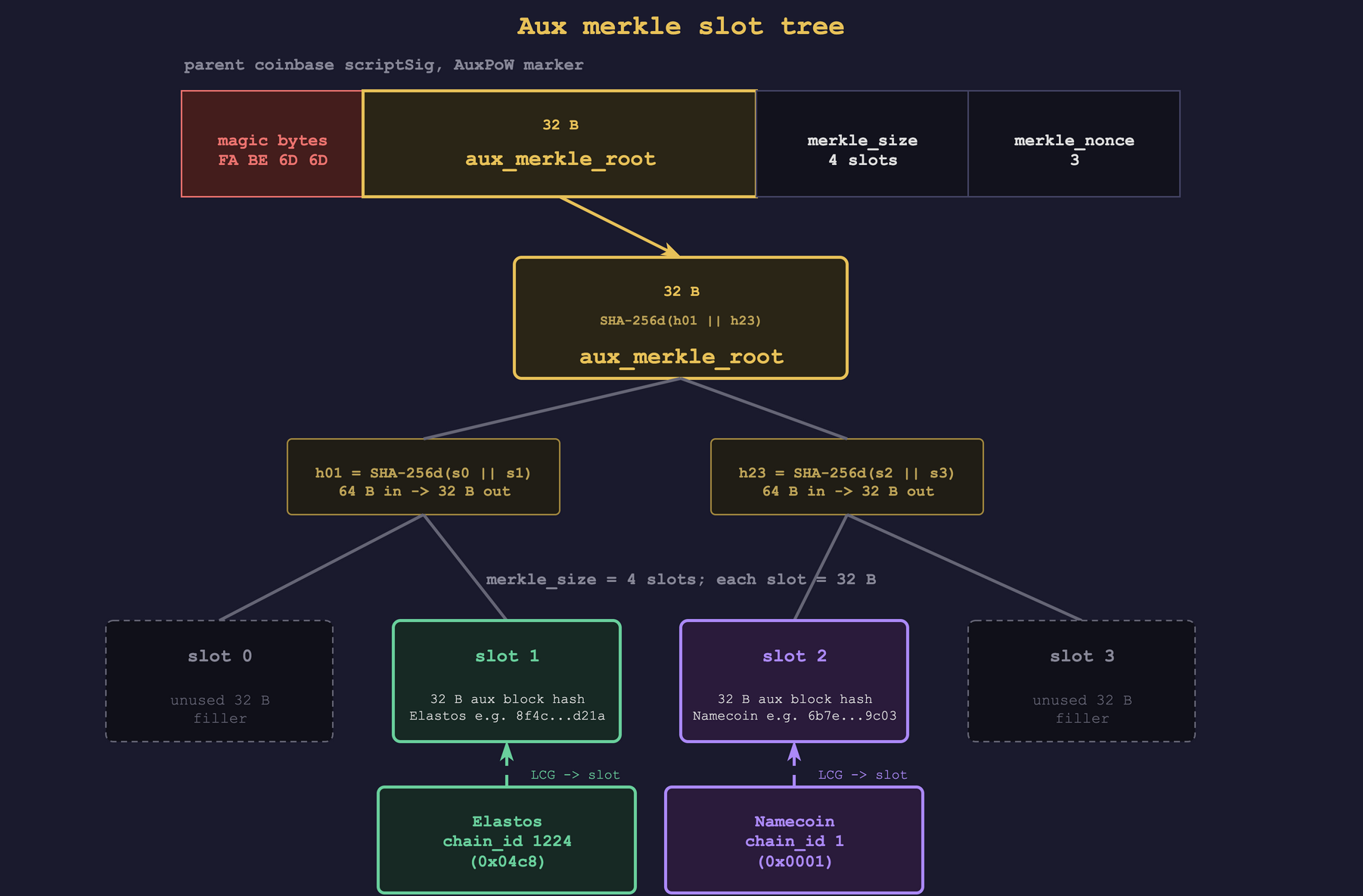 The merkle slot tree, with a 4-slot example. The root, `aux_merkle_root`, is committed in the parent coinbase's AuxPoW marker (reproduced at top). Each slot is 32 bytes. Slot 1 holds Elastos's block hash (`chain_id` 1224); slot 2 holds Namecoin's (`chain_id` 1); the other slots are unused 32-byte filler. Each internal node, and finally the root, is SHA-256d over two 32-byte child values.